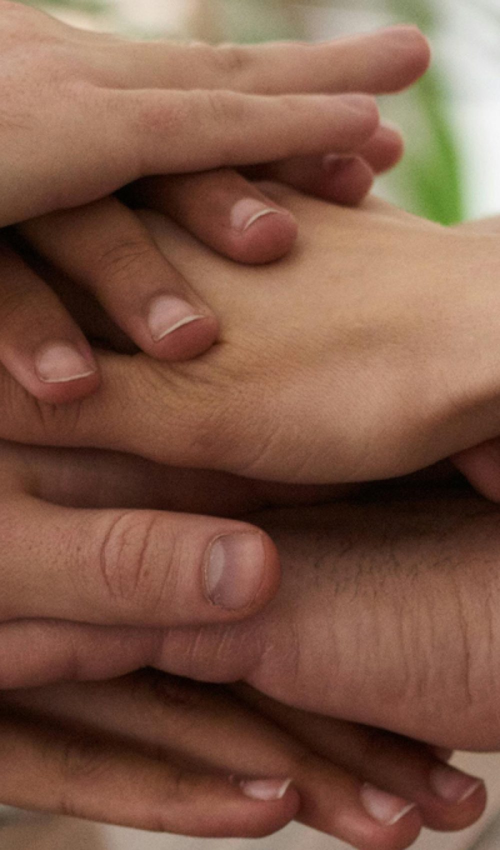 Aguas_Claras_Nuestro_Equipo